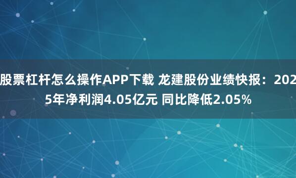 股票杠杆怎么操作APP下载 龙建股份业绩快报：2025年净利润4.05亿元 同比降低2.05%