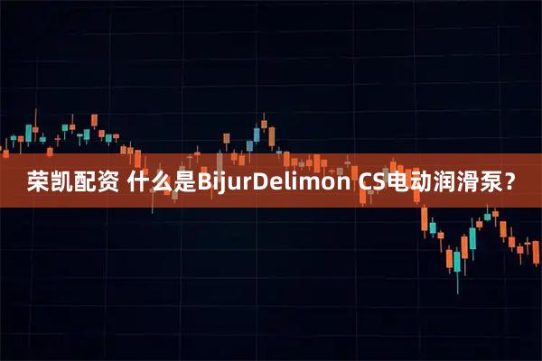 荣凯配资 什么是BijurDelimon CS电动润滑泵？