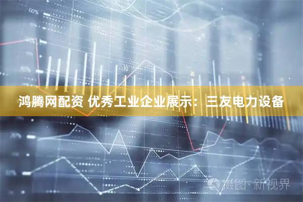 鸿腾网配资 优秀工业企业展示：三友电力设备